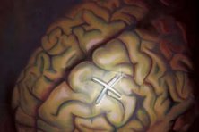 Programa Gente Mayor, Gente Dinámica 