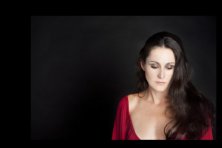 Espectáculo Flamenco